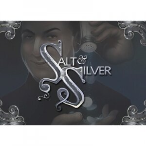 Salt & Silver by Giovanni Livera